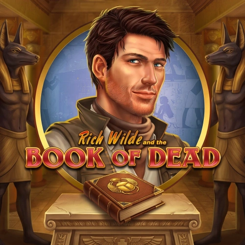 Try the popular Book of Dead slot game on 1win.